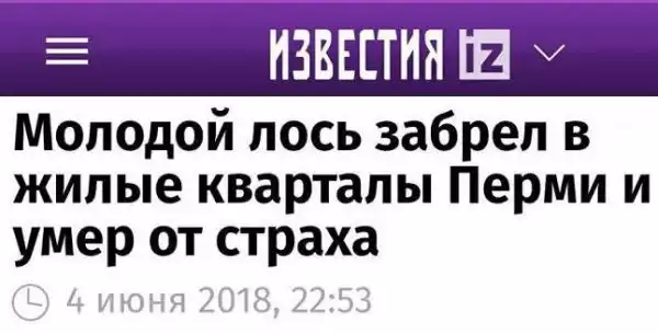 Москвича, увидевшего Липецк из окна поезда, доставили в психбольницу