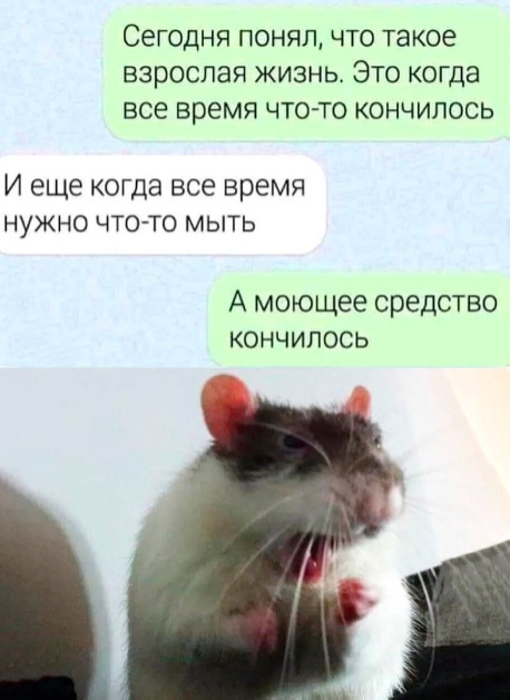 Так себе картинки 24.06.24