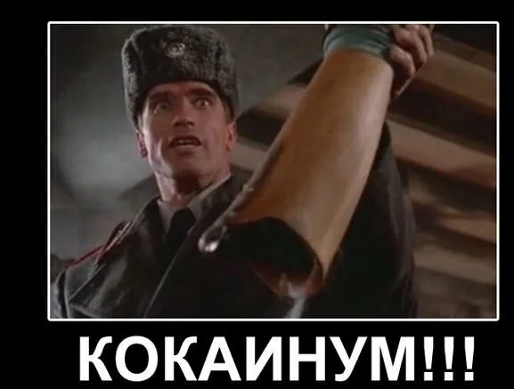 В Ленобласти изъяли почти тонну кокаина, который везли в Европу