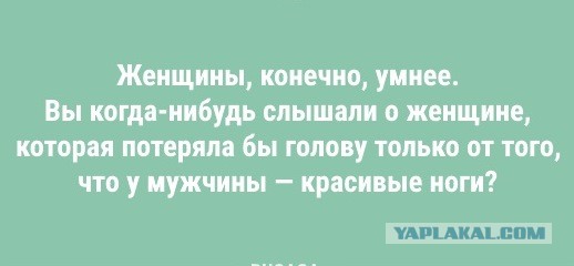 Кто умнее