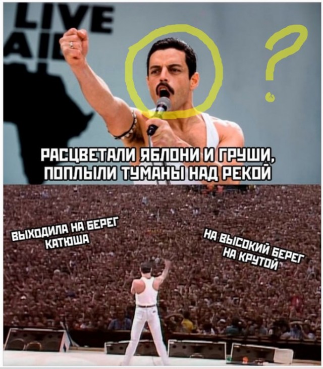 Весёлый полтишок 06.12.24