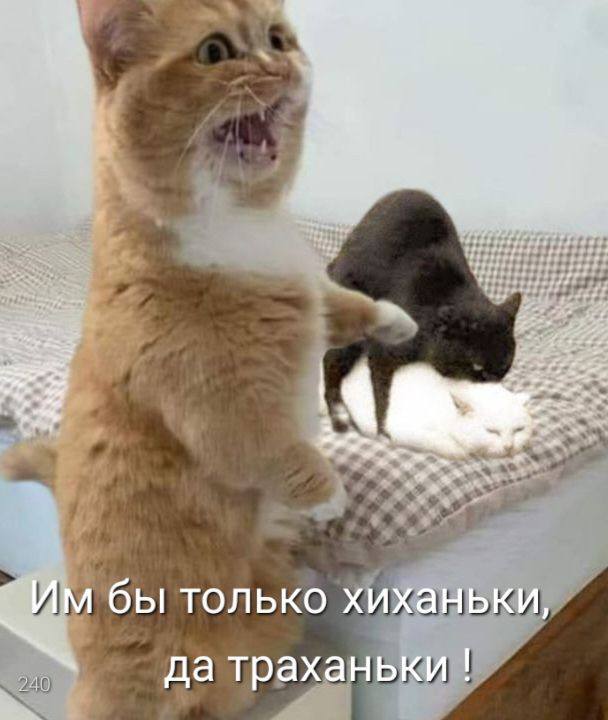 Завалялось тут случайно немного забавных картинок