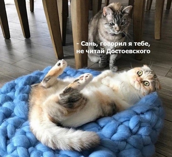 Хотели настоящую Белоснежку?