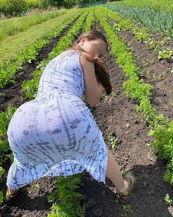 Умелая дачница