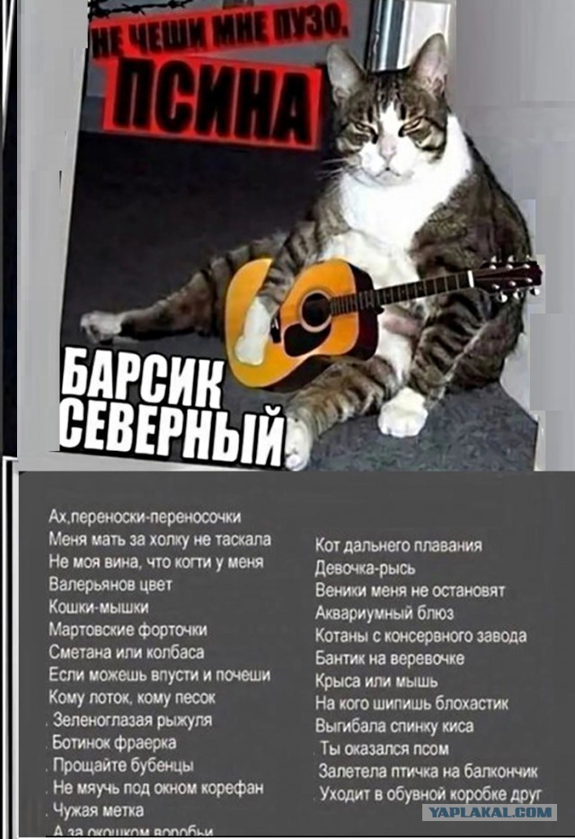Шансон. Врут