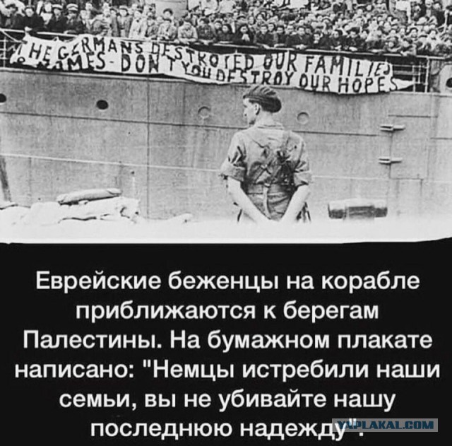 Артемий Лебедев о причинах конфликта с Украиной