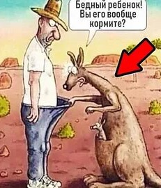 Мужчины с небольшим доходом чаще выбирают женщин с большой грудью, показало исследование