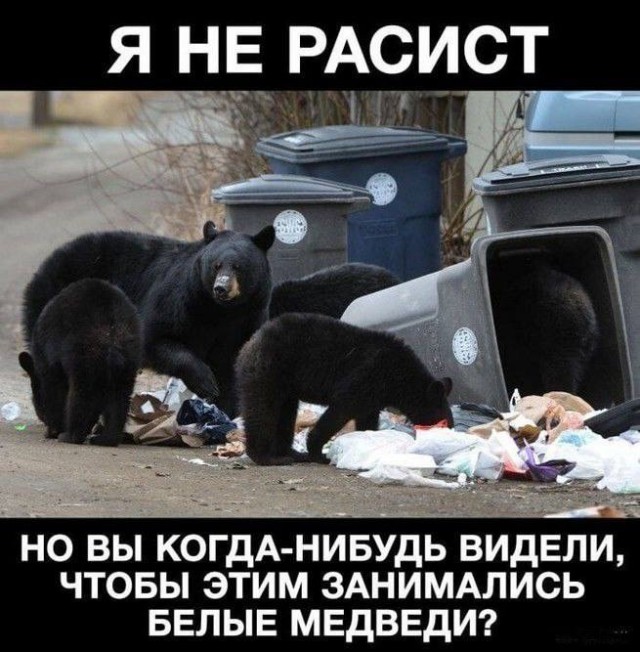 Веселое настроение в картинках (02.10.2025)