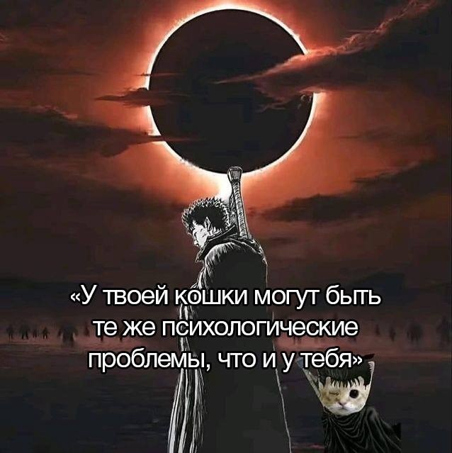 Среды картинки