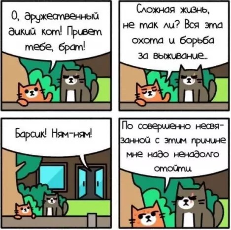 Пакет брать будете?