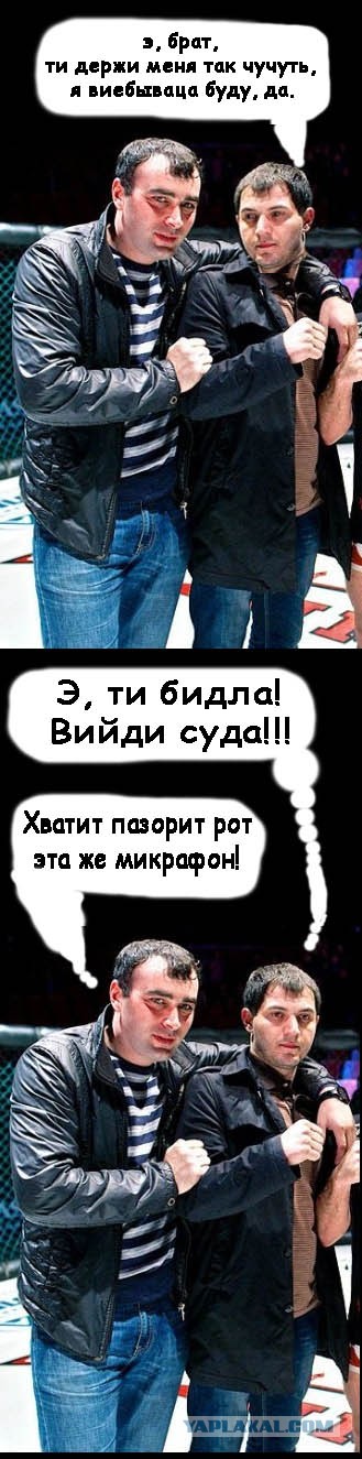 Чемпиона по боям без правил закатали