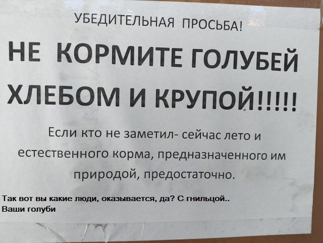 Объявленице
