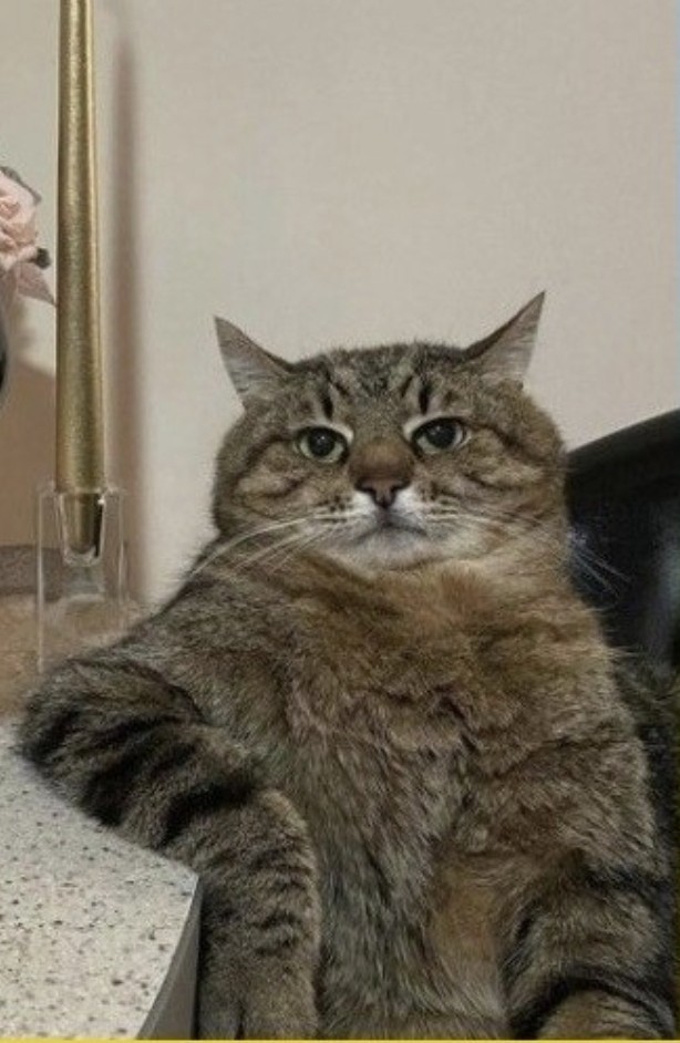 Моя реакция