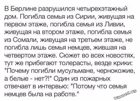 Мерц заявил, что Германия является не страной немцев, а страной мигрантов