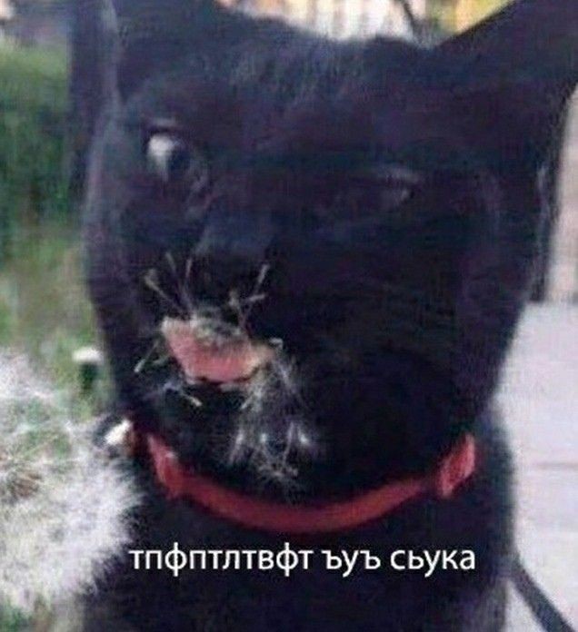 Чё хотел?