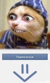 Визуализируем свои ники!