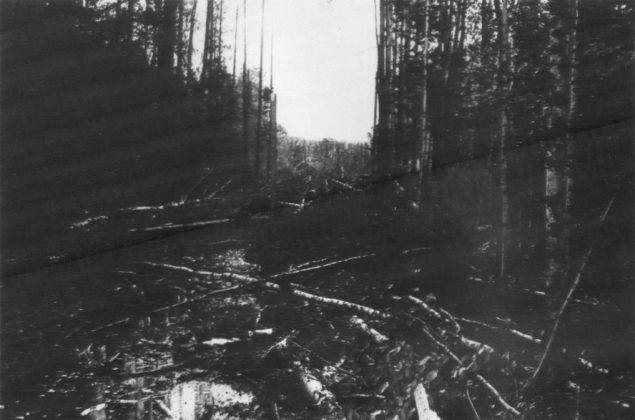 Сегодня мне 28