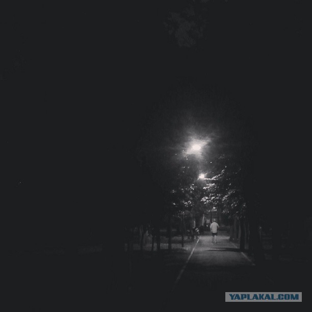 Жемчужина Казахстана! Almaty Tapok Edition