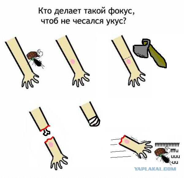 Фокус против чесотки
