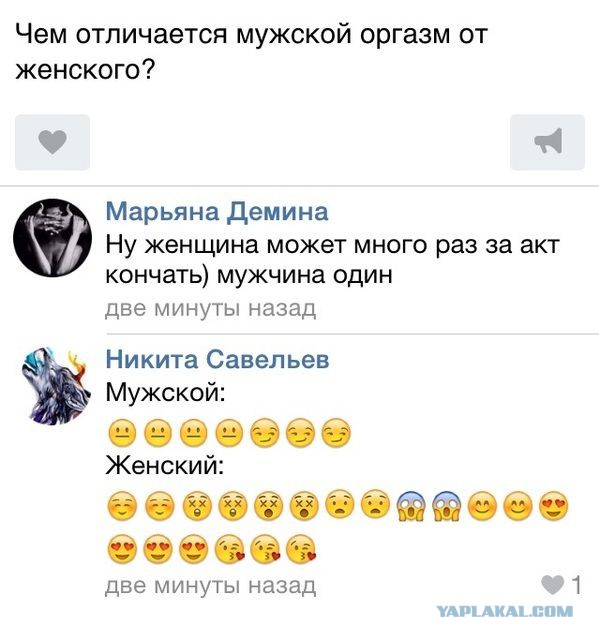 Смешные комментарии из соцсетей, картинки