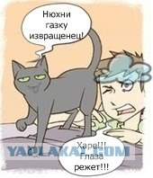 Иногда мне кажется, что мой кот...