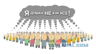 Стадо овец