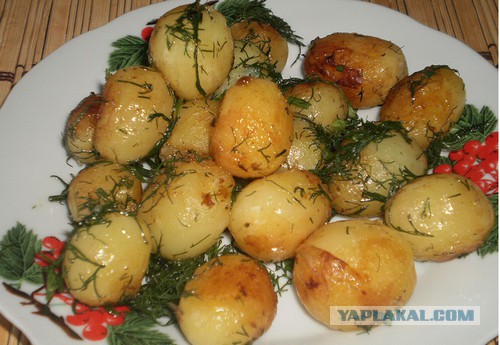 Пост про картоху