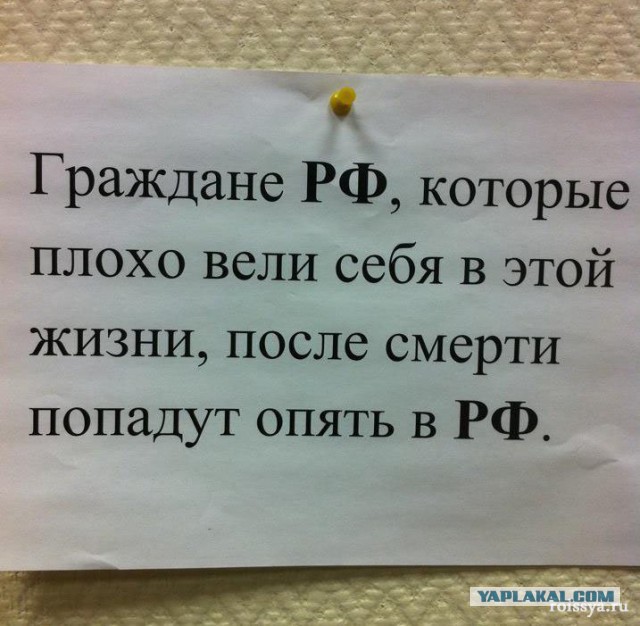 Картинки из сети