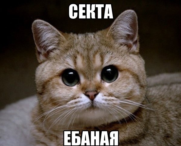 Зомбирование украинцев