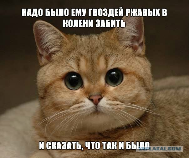 "Угрожали найти и убить..."