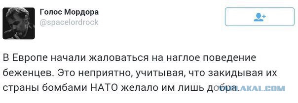 10 политических картинок часть 5