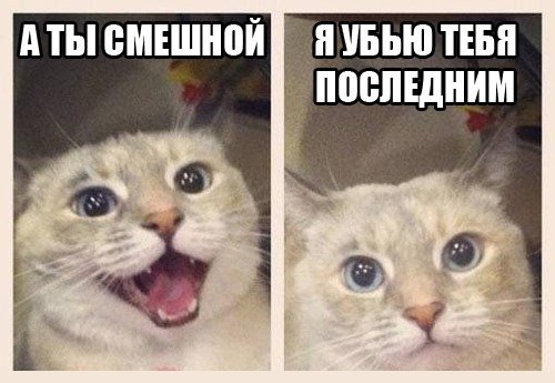 Картинки на субботу