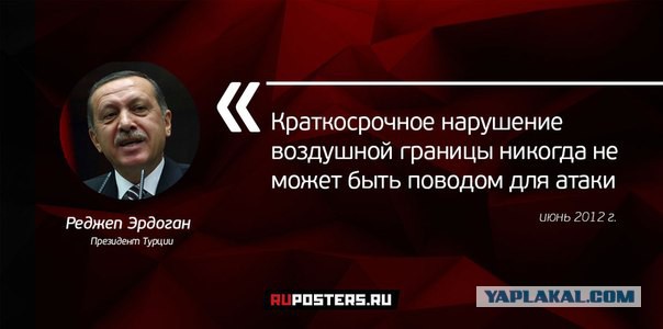 Эрдоган выступил с заявлением по поводу сбитого Су