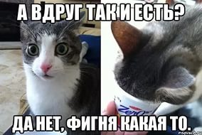 Сирия лишь прикрытие!