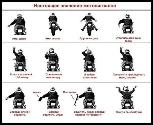 Картинки на пятницу