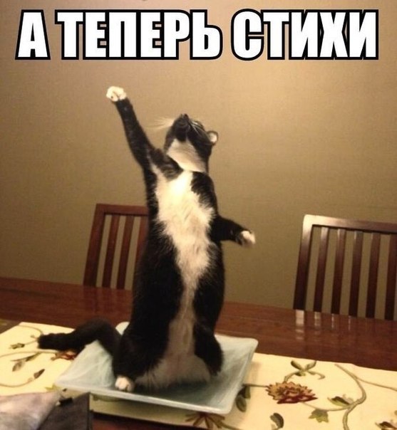 Картинки и демотиваторы