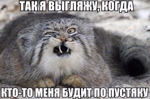 Картинки и демотиваторы
