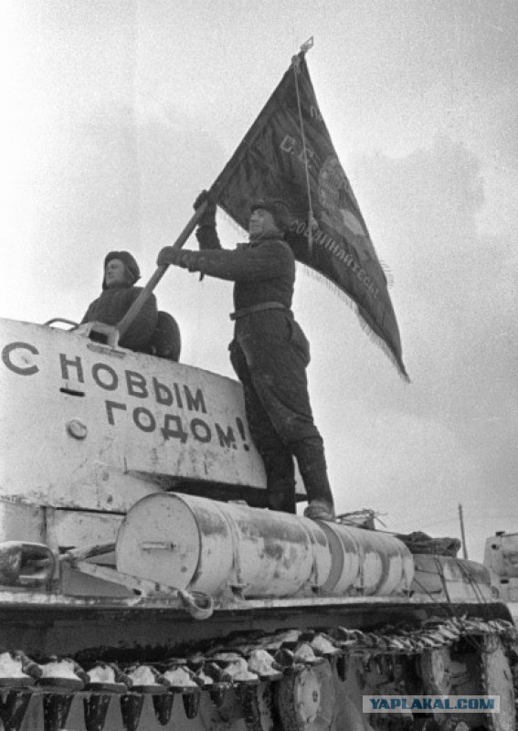 Wargaming 31