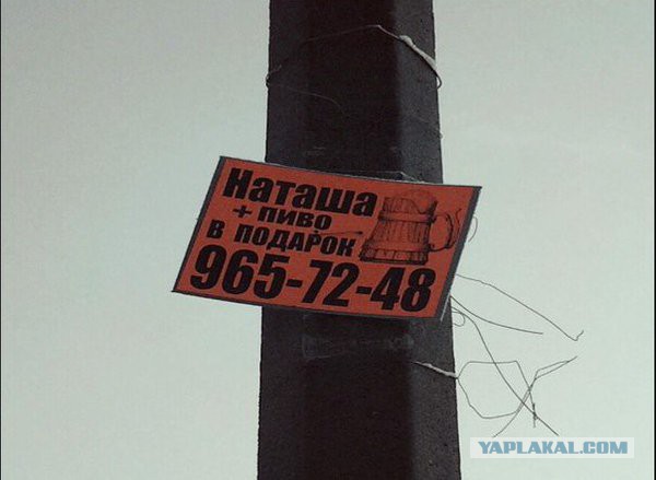 Весёлые картинки