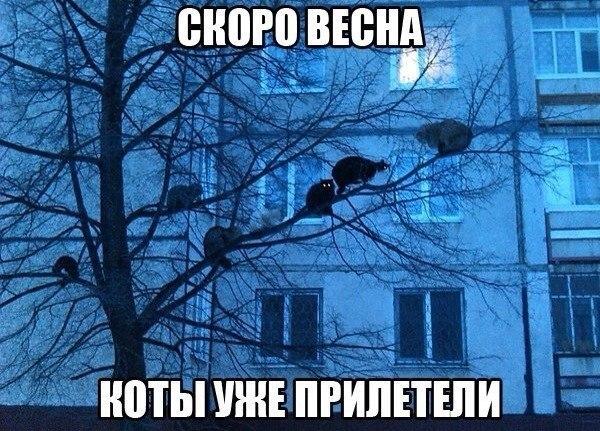 Подборка картинок 16.02.16