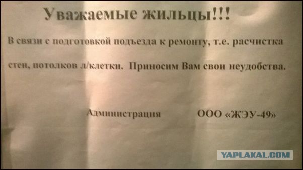 Подборка фото