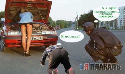 Фотожаба: ползун