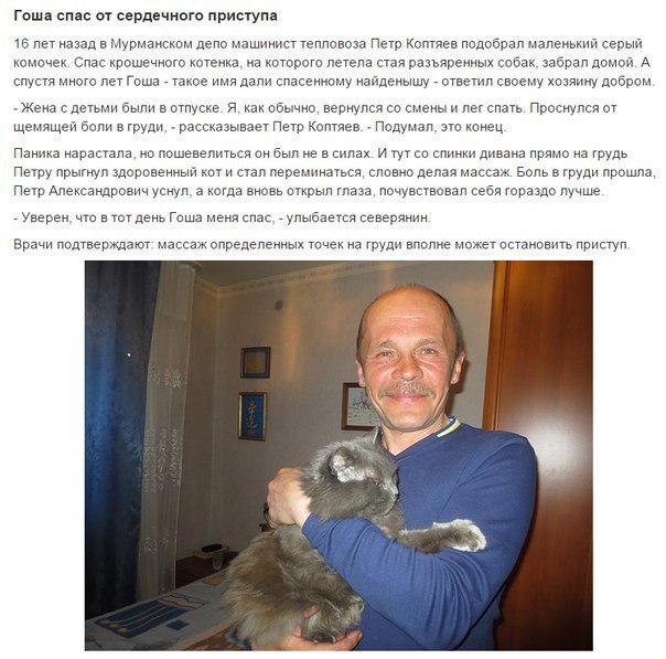 Мохнатые беспредельщики