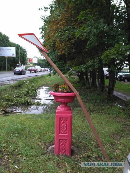 Сильная гроза в Москве и ее последствия