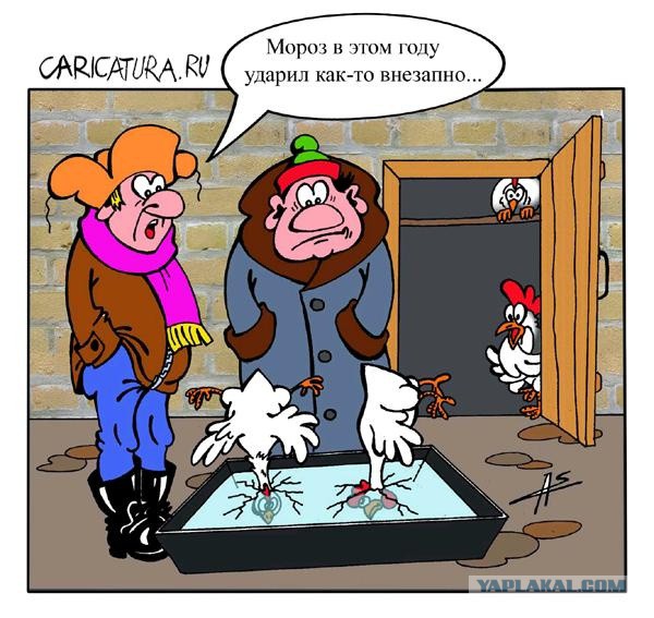 Карикатуры всякие-разные