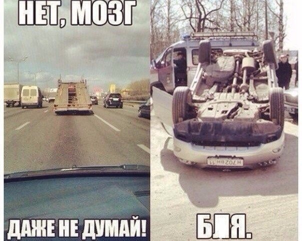 Подборка картинок