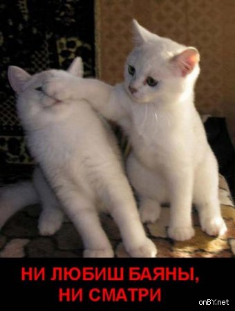 Всячина. Картинки