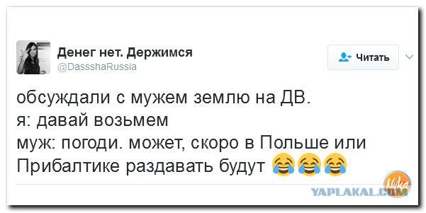 Политота в картинках