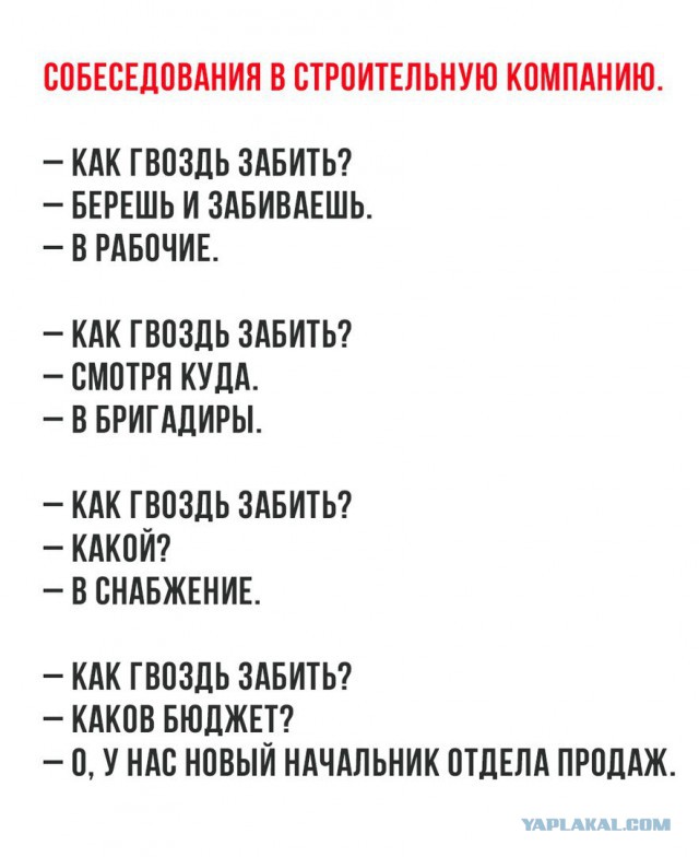Пятничная подборка перлов и высказываний