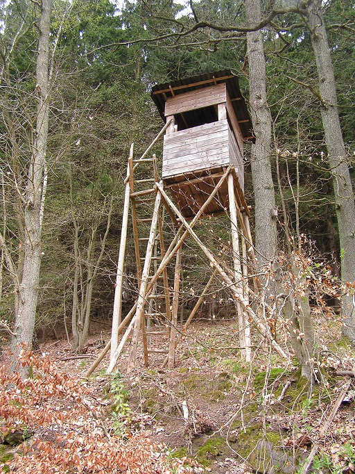 Поездка в Германию, 2007 год. Ностальгия блин...